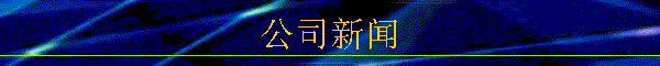 ˾